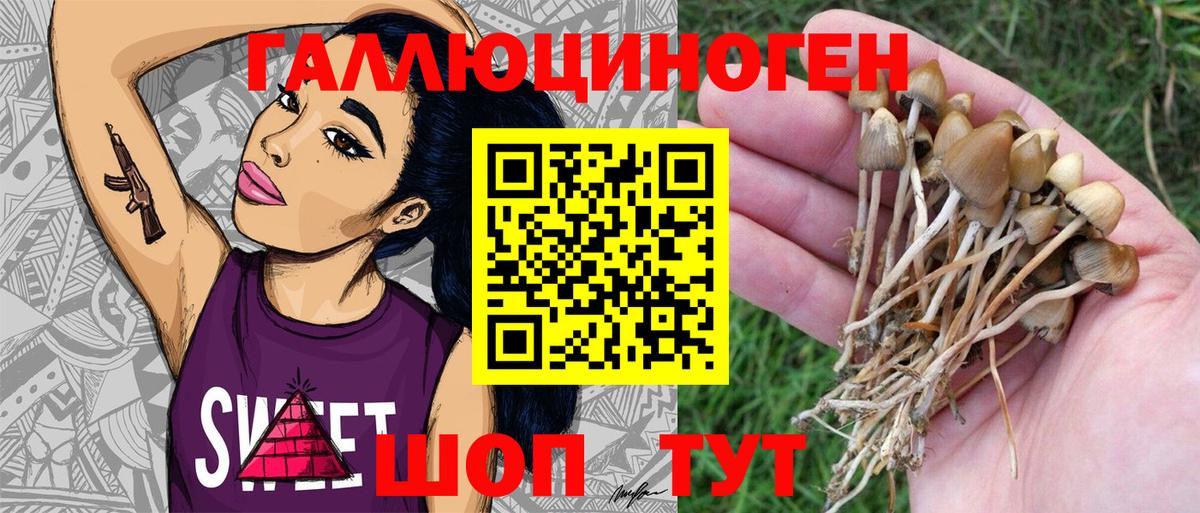 Галлюциногенные грибы Psilocybe  Вход с VPN  Галлюциногенные грибы Psilocybine cubensis  Ейск 