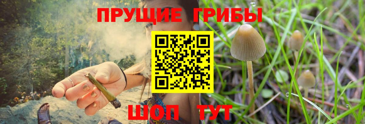 Псилоцибиновые грибы MAGIC MUSHROOMS Ейск